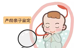 北京怀孕了要如何办理孕期亲子鉴定(咨询地址)