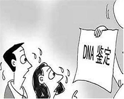 北京DNA鉴定如何办理